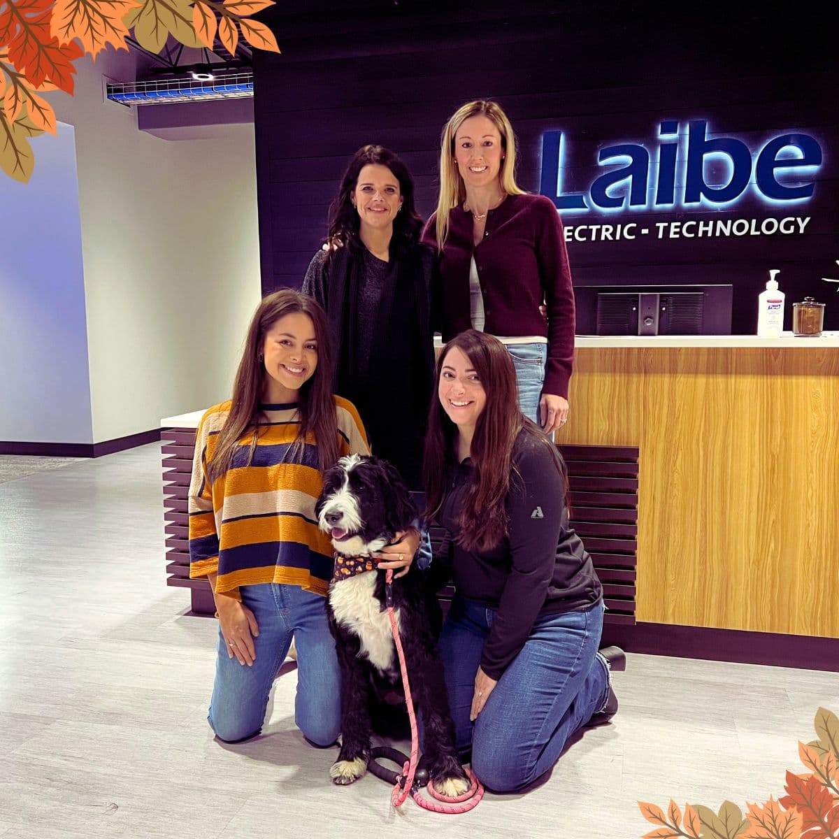 Laibe Electric Technology Team