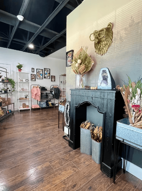 Interior shot of Naturally Odd